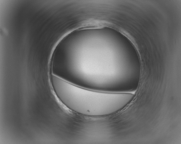 X0000075911152200609151031