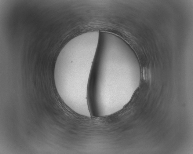 X0000075911155200609151031