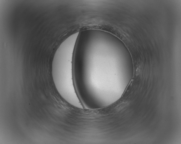 X0000075911156200609151031