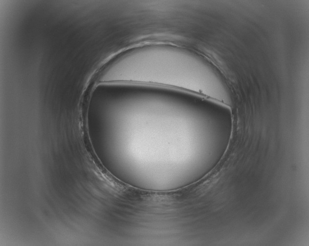X0000075911164200609151031