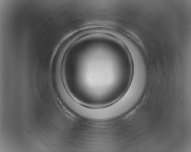 X0000075911172200609151030