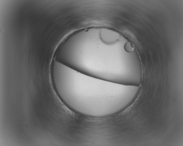 X0000075911182200609151030