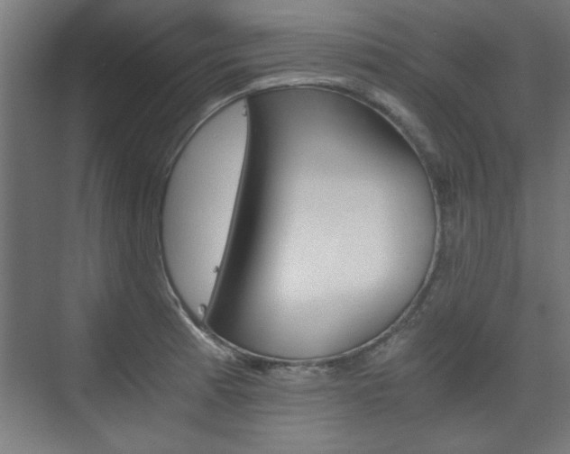 X0000075911185200609151030