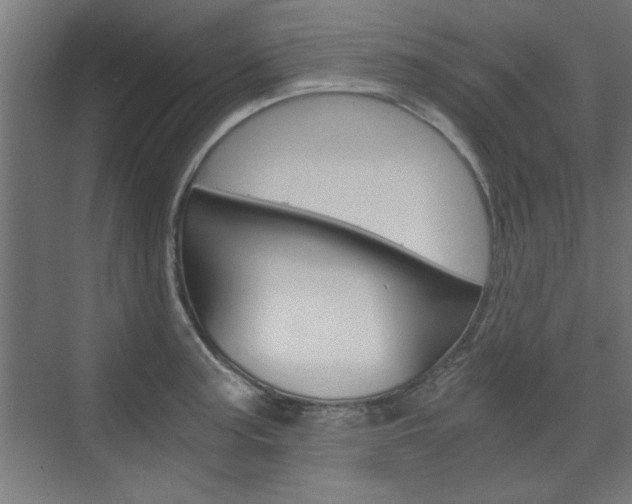 X0000075911187200609151030