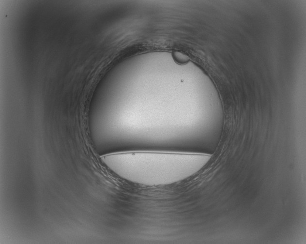 X0000075911201200609151029