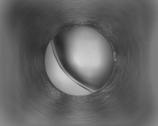 X0000075911202200609151029