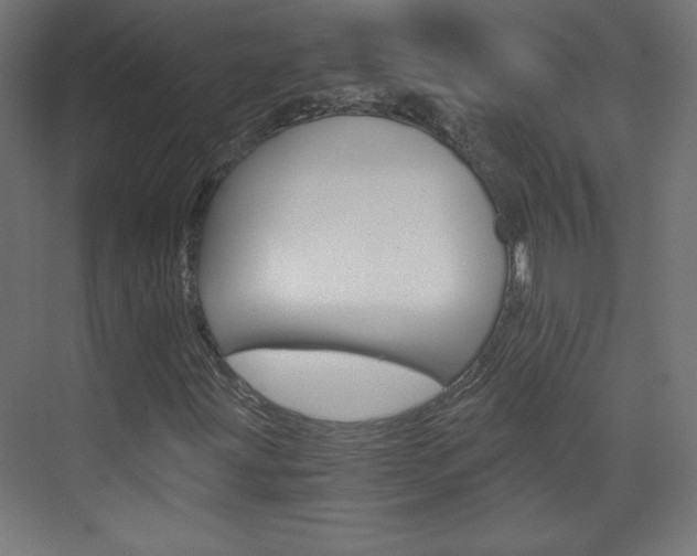 X0000075911203200609151029