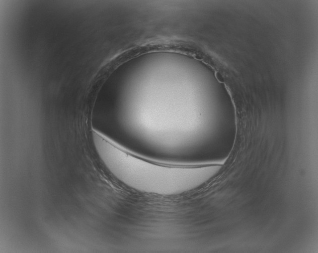 X0000075911206200609151029