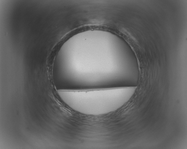 X0000075911208200609151029