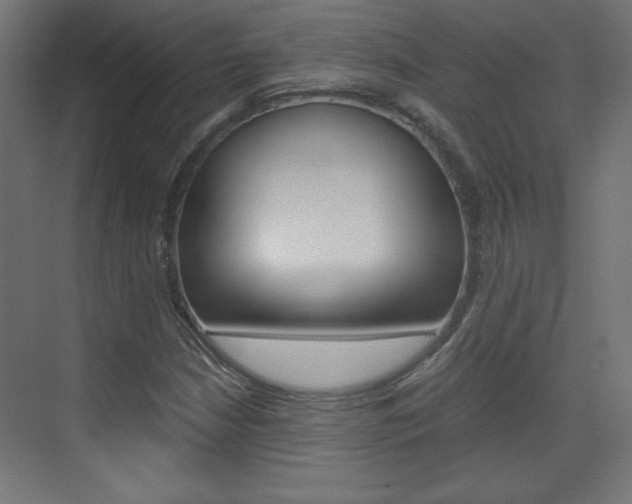 X0000075911210200609151029