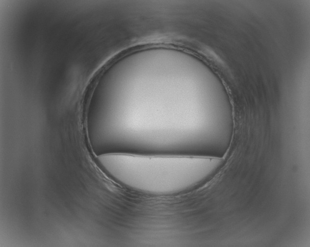 X0000075911216200609151029