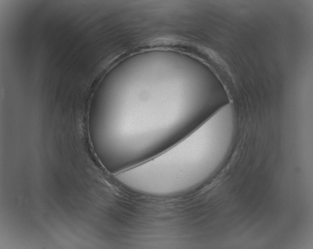 X0000075911217200609151029