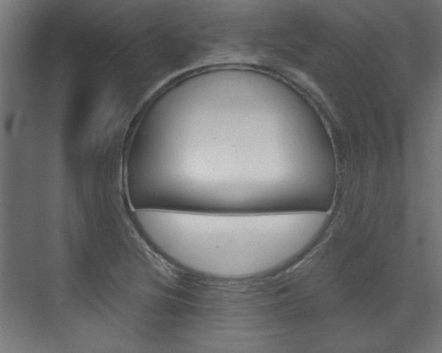 X0000075911220200609151029