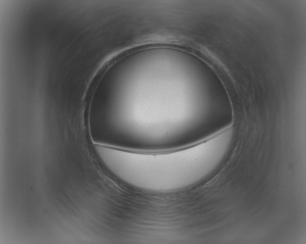 X0000075911222200609151029