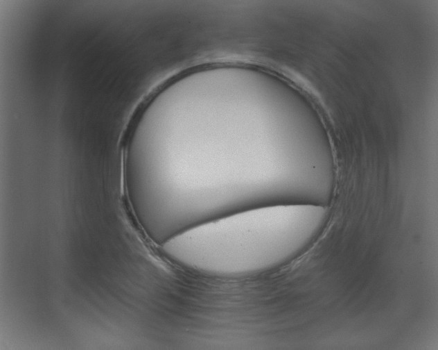 X0000075911223200609151029