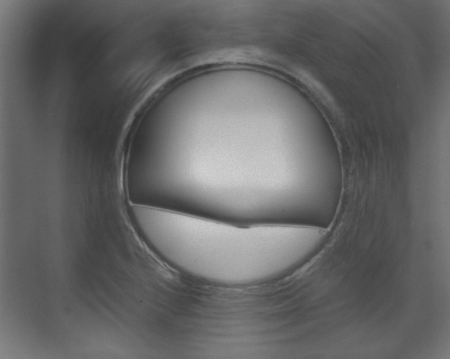 X0000075911224200609151029