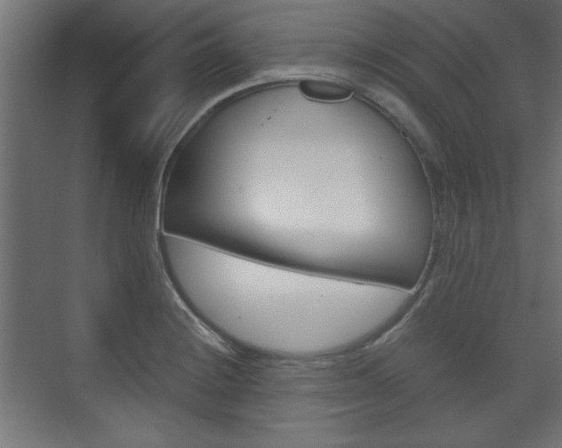 X0000075911228200609151030