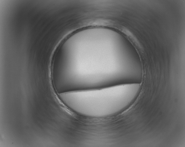 X0000075911232200609151030