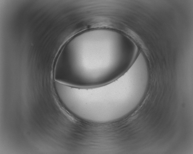X0000075911234200609151030