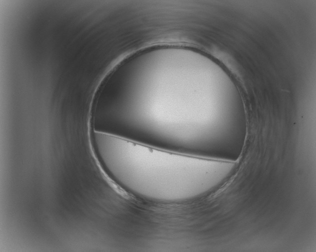 X0000075911237200609151030