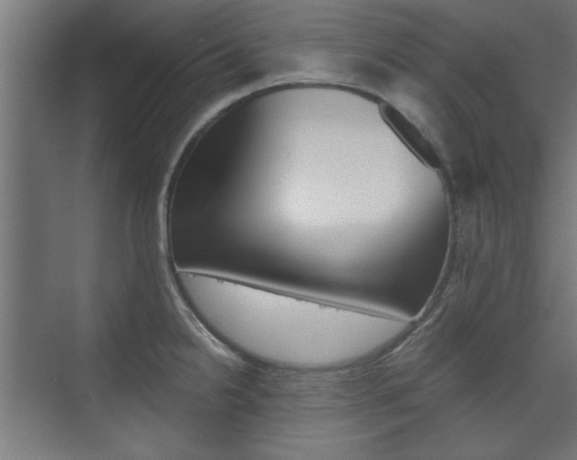 X0000075911238200609151030