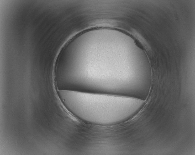 X0000075911240200609151030