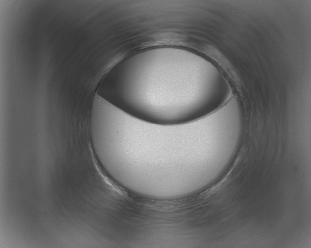 X0000075911241200609151030