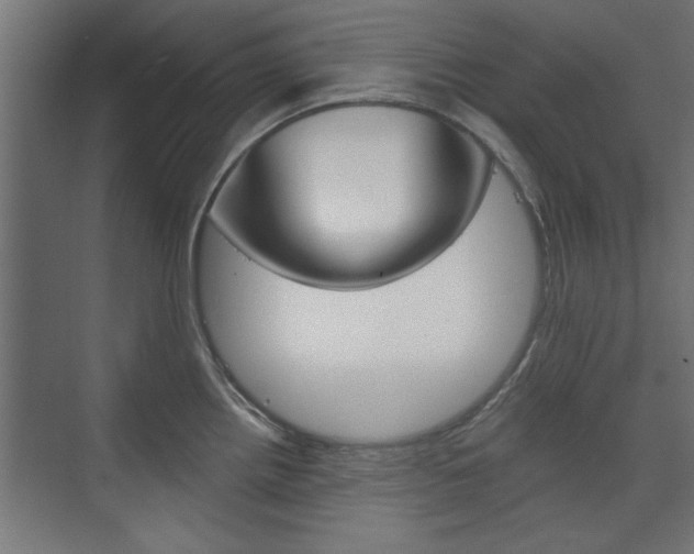 X0000075911242200609151030