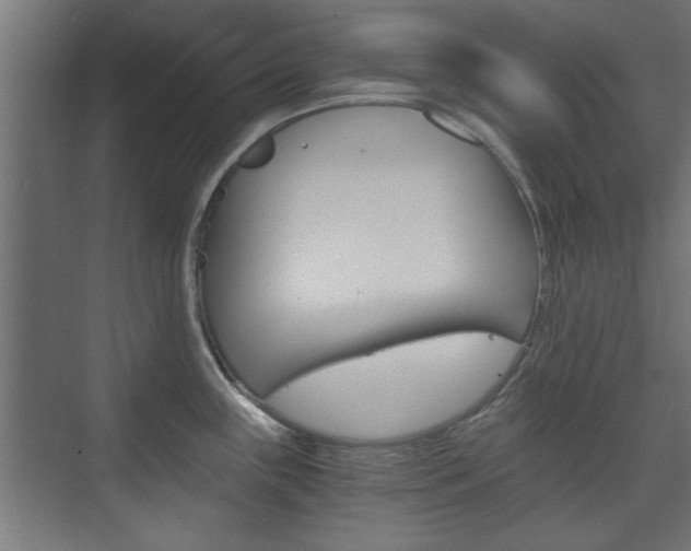 X0000075911243200609151030