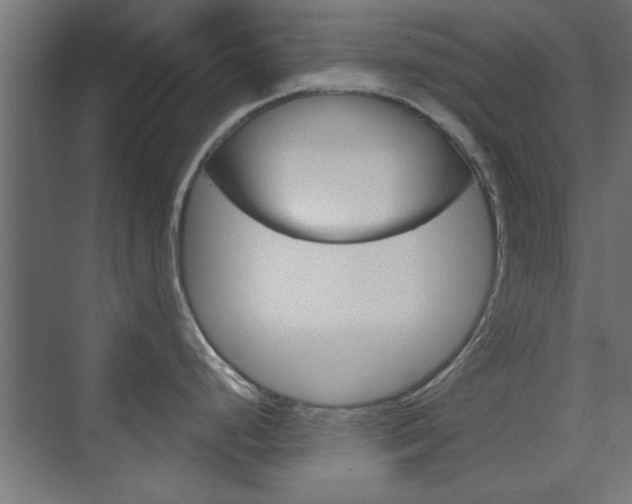 X0000075911248200609151030