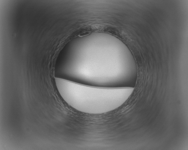 X0000075911249200609151029