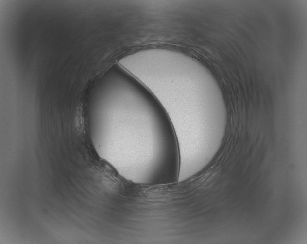 X0000075911252200609151029
