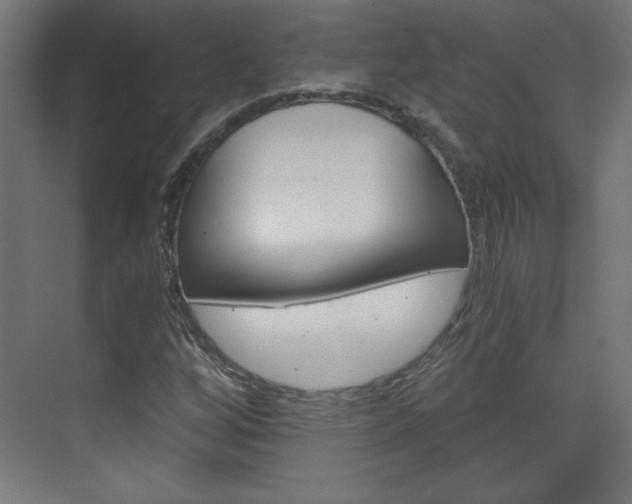 X0000075911256200609151029