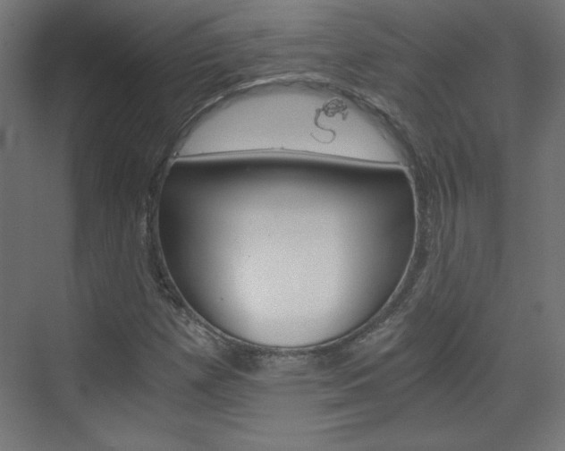 X0000075911257200609151029