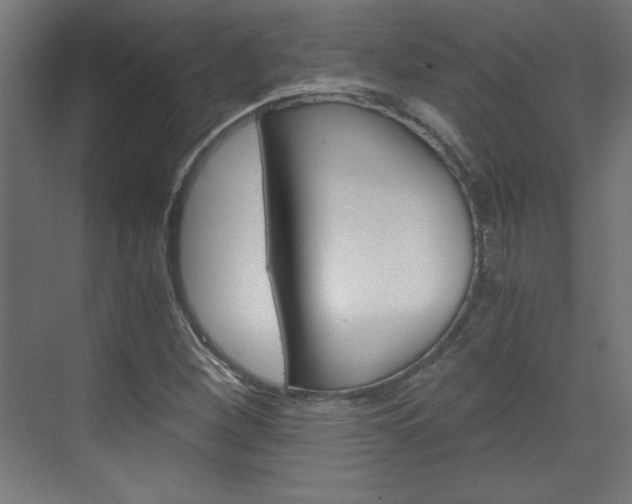 X0000075911260200609151029