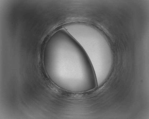 X0000075911261200609151029
