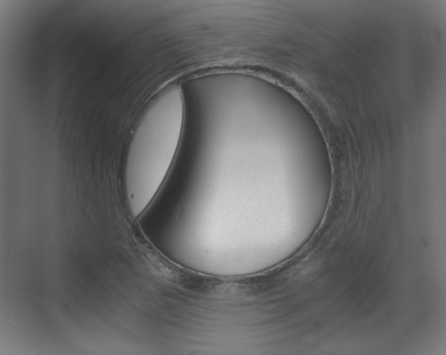 X0000075911265200609151029