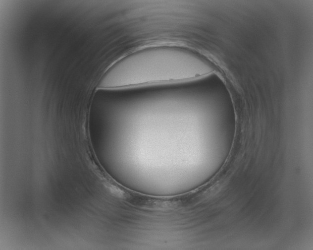 X0000075911273200609151029