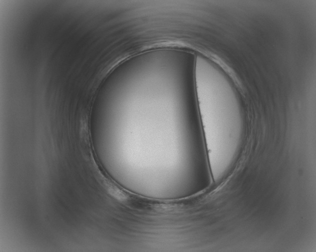 X0000075911281200609151029
