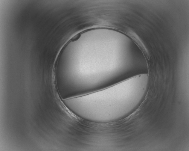 X0000075911292200609151028