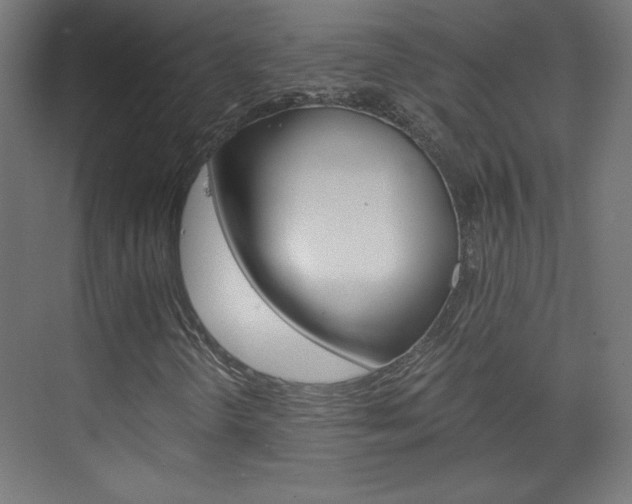 X0000075911298200609151027