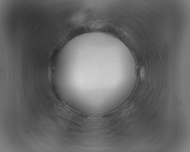 X0000075911299200609151028