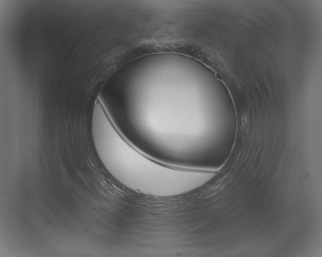 X0000075911300200609151028