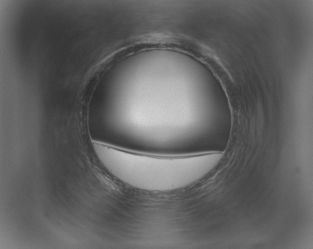 X0000075911304200609151028
