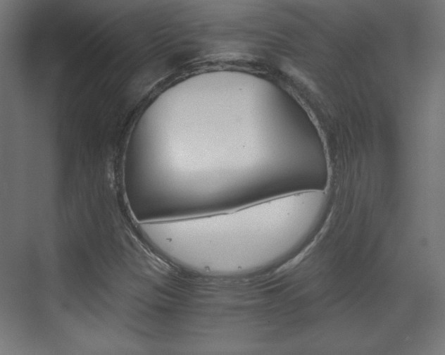 X0000075911305200609151028