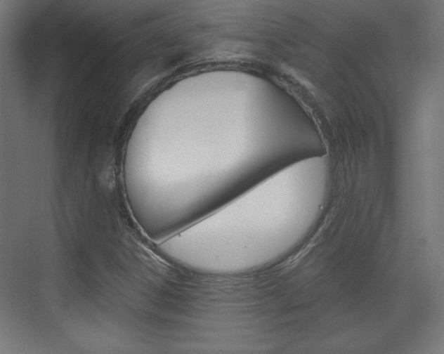 X0000075911306200609151028