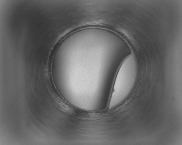 X0000075911308200609151028