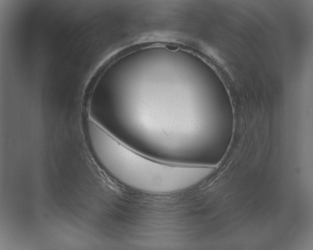 X0000075911312200609151028