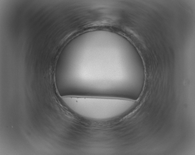 X0000075911313200609151028