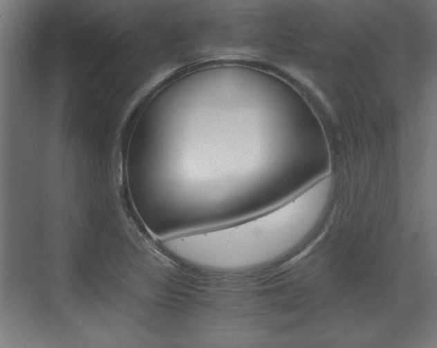 X0000075911317200609151028